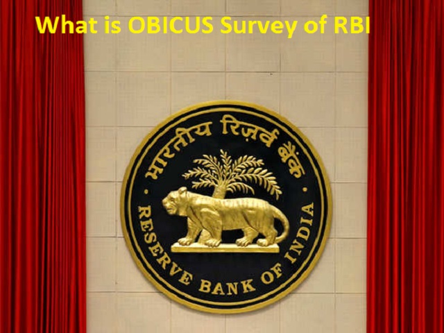 What is OBICUS Survey of RBI